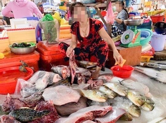 Kiên Giang: Ngang nhiên bán động vật quý hiếm giữa chợ