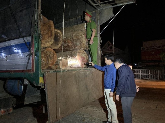 Bắt hơn 21 m3 gỗ mang 'lý lịch' giả