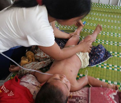 Ong rừng tấn công lớp học, 17 học sinh phải nhập viện