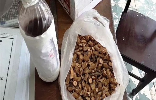 Xác định loại rễ cây ngâm rượu làm 3 người tử vong