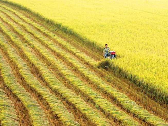 'Hội nghị Diên Hồng ĐBSCL' bàn nhiều vấn đề thiết yếu