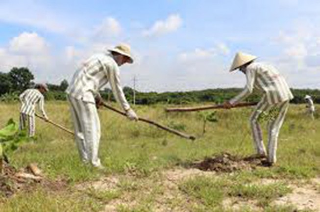 Trưởng Công an huyện Kế Sách, Sóc Trăng bị cảnh cáo