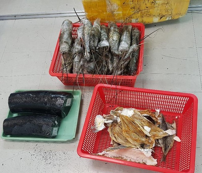 Bắt vụ vận chuyển 10 kg ngà voi giấu trong thùng tôm hùm 