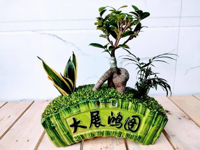 Gói trọn ‘khu vườn mini’ trong lòng bàn tay