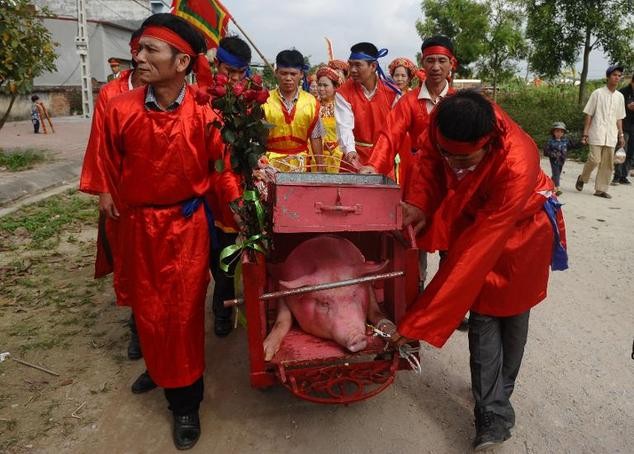 Báo chí quốc tế nói gì về 'trảm lợn cầu may'?