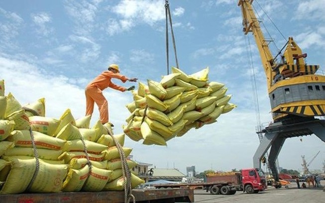 0 giờ đêm 25-4 sẽ mở hệ thống đăng ký tờ khai gạo tồn