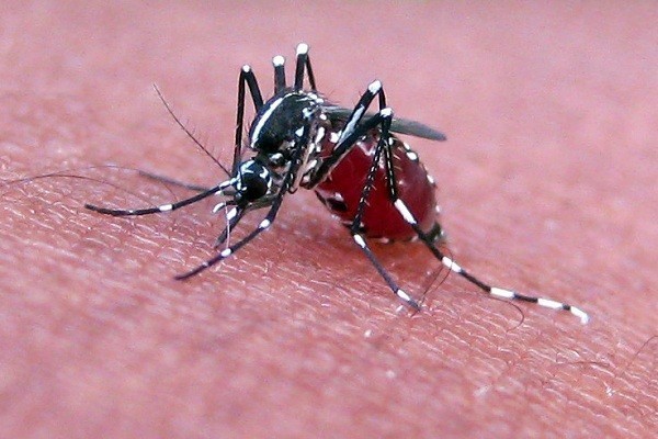 Trái đất nóng lên làm nhiều virus giết người sống lại