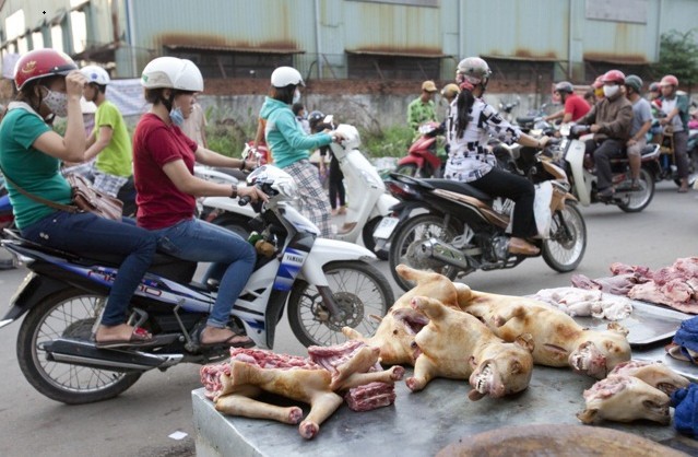 Khi thịt chó trở thành nguồn… thực phẩm mới