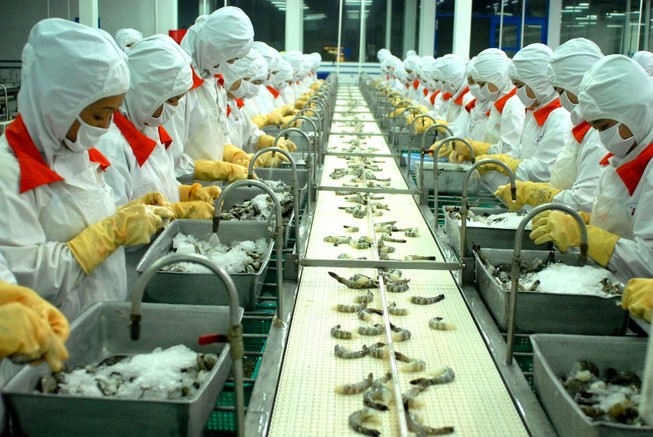 Trường hợp không xử lý kỷ luật đối với người lao động