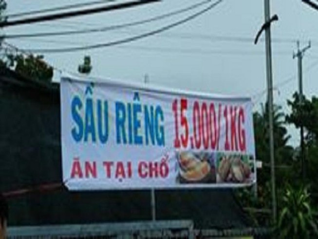 Sầu riêng siêu rẻ 19.000 đồng/kg có ngon như lời đồn?
