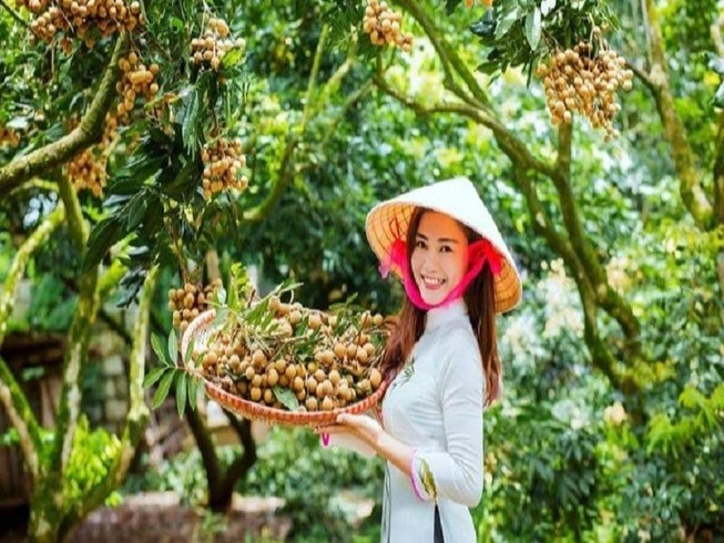 Nhãn xuất khẩu của Việt Nam phụ thuộc gần 100 % vào TQ