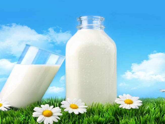 Những bệnh gì không nên uống sữa vào buổi sáng?