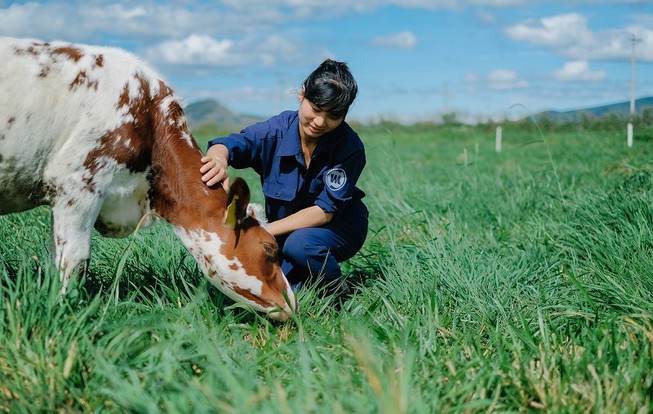 Bất công: Sữa Vinamilk chịu thuế 40%, sữa Thái chỉ 1%