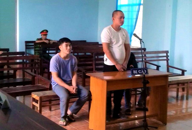Ba thanh niên lái xe tải từ Đắk Lắk qua Gia Lai trộm chó
