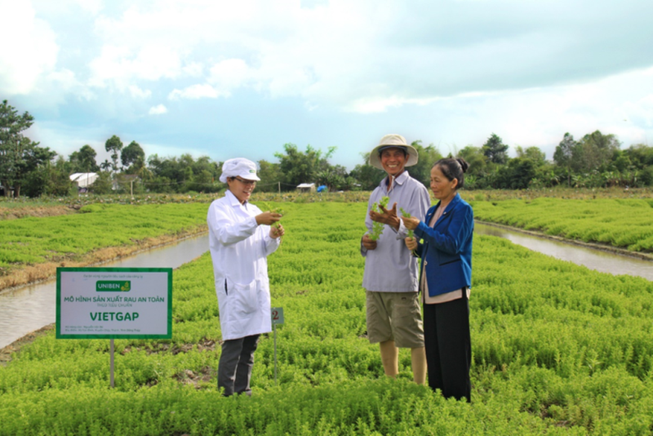 UNIBEN hỗ trợ nông dân thực hiện VietGAP