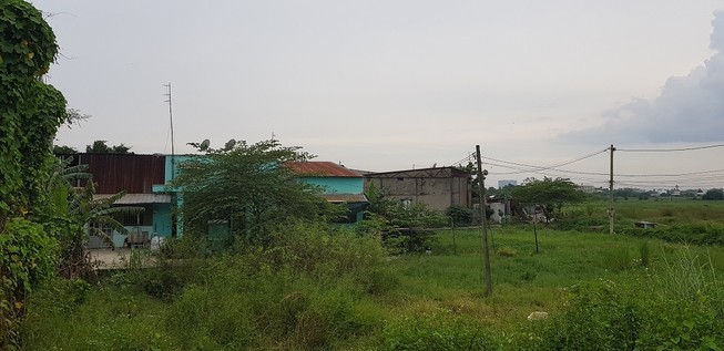 Chuyển hơn 384 ha đất nông nghiệp thành khu đô thị ở Hóc Môn?