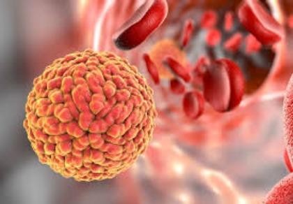 Một người Việt Nam nhiễm virus Zika khi du lịch Nhật Bản