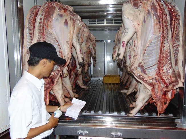 Chỉ 11% heo đưa vào lò giết mổ có 'hộ khẩu'