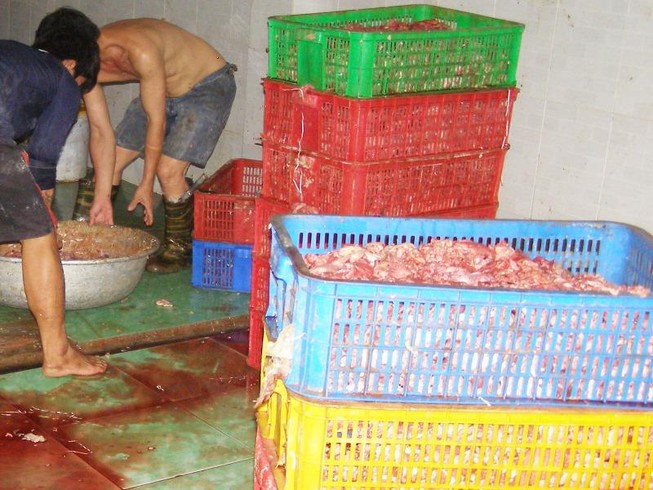 'Nhiều cơ sở đã nhờn luật, phải phạt nặng mới sợ'!