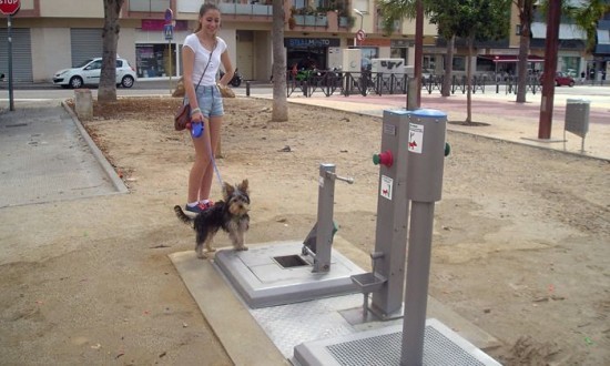 Toilet công cộng dành cho chó đầu tiên trên thế giới