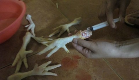 Chân gà "độn" nước, dân nhậu phát kinh