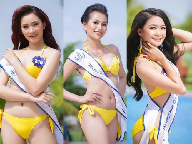 Đề nghị dừng tổ chức Hoa hậu Biển VN toàn cầu 2018