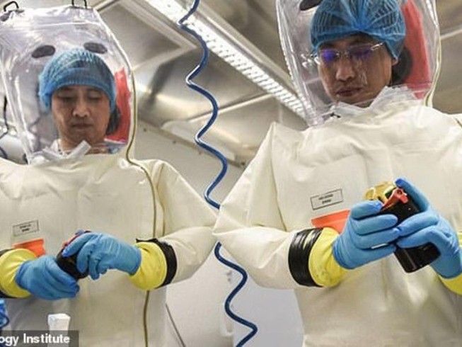 Các nhà khoa học làm việc tại phòng thí nghiệm cao cấp nghiên cứu virus ở Vũ Hán. Ảnh: DAILY MAIL