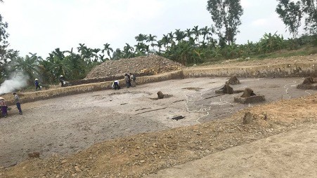 Phát hiện bãi cọc Bạch Đằng thời Trần tại Hải Phòng