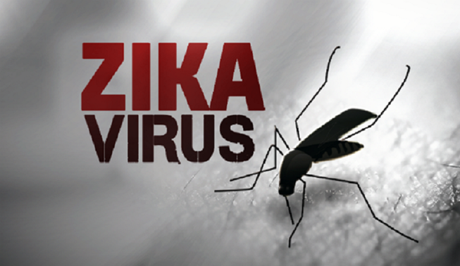 TP.HCM: Thêm 12 trường hợp mắc virus Zika