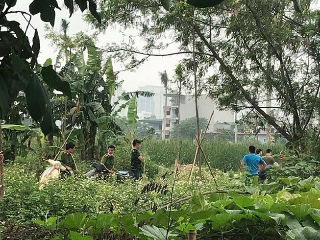 Kinh hãi thi thể đang phân huỷ trong bụi chuối