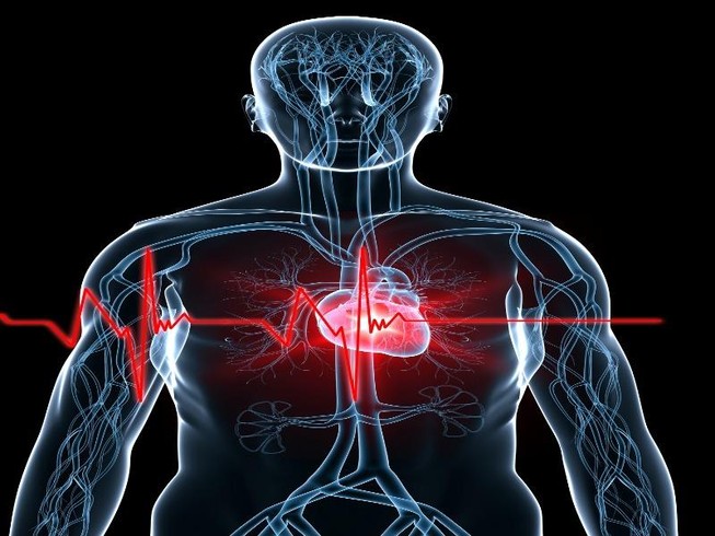 Hẹp van động mạch chủ: Kẻ giết người thầm lặng