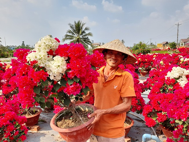Hoa, nông sản tết: Kẻ cười, người khóc