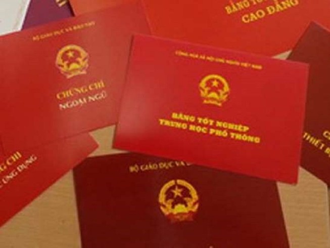 Cách chức nữ chủ tịch xã xài bằng giả