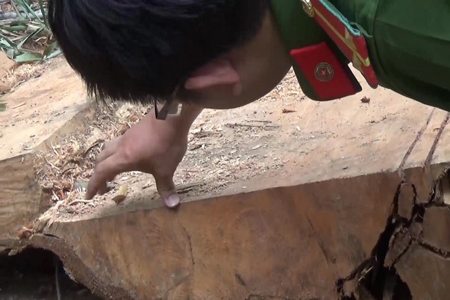 Xác định nhóm nghi can phá rừng đặc dụng Nam Kar