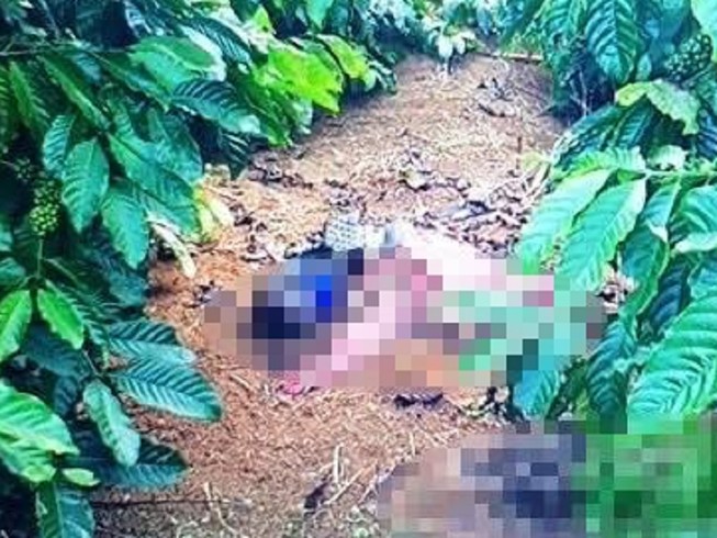 Bắt nghi can giết người, vứt xác trong rẫy cà phê