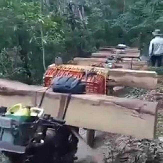 Mật phục bắt đoàn xe máy chở gỗ ra khỏi rừng
