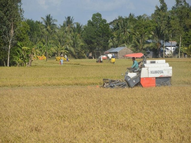 Bí thư Đồng Tháp hiến kế thoát khỏi 'lời nguyền' lúa gạo