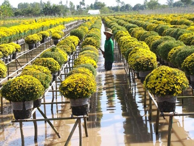 Sắp diễn ra Tuần lễ Văn hóa Du lịch Đồng Tháp năm 2021