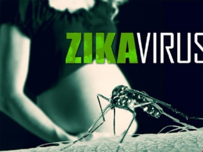 Cả nước ghi nhận 28 phụ nữ mang thai nhiễm virus Zika