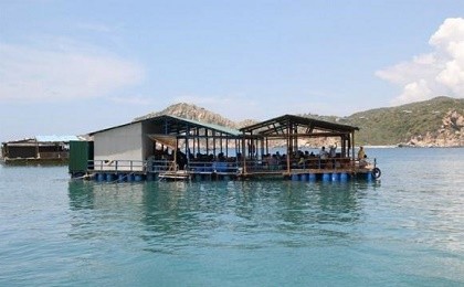 Thành ủy Vũng Tàu kiến nghị cho nhà hàng bè nổi tạm hoạt động lại dịp lễ 2-9