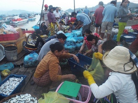 Khám phá nhịp sống làng chài giữa Vịnh Cam Ranh