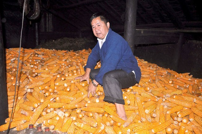 Lúa và đá ở Ma Lé