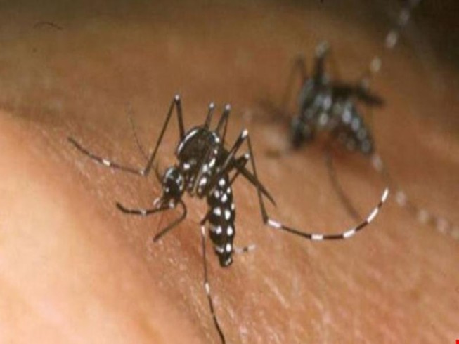 Phát hiện trường hợp nhiễm Zika thứ 7 tại Đồng Nai