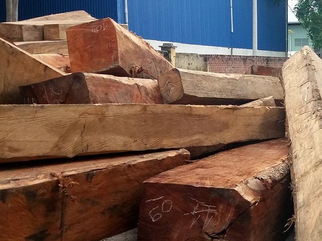 Bắt khẩn cấp 1 giám đốc công ty kinh doanh gỗ