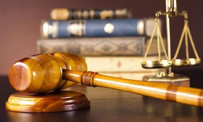 Rút kinh nghiệm vụ mua bán sản phẩm từ động vật hoang dã