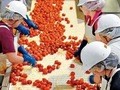 Quản lý không cần sếp