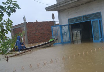 Thủy điện phải chịu trách nhiệm!