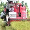 Hỗ trợ nông dân vay vốn: Phải cụ thể!