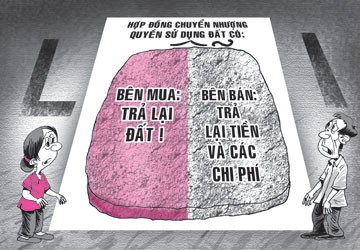 Chia đôi thiệt hại vì cả hai bên đều có lỗi