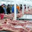 Xây chợ chưa xong, ép dời: Gạo khóc